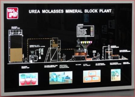 Urea molasses mineral block licks plant